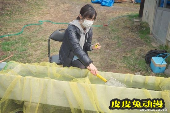 日本“破产美少女”走红网络 从城市被迫搬到乡下的YouTuber正妹