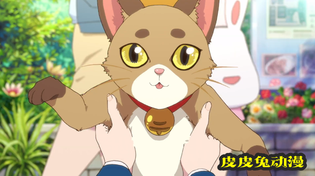 TV动画「LoveLive!Superstar!!」特别朗读动画PV公布-皮皮兔动漫