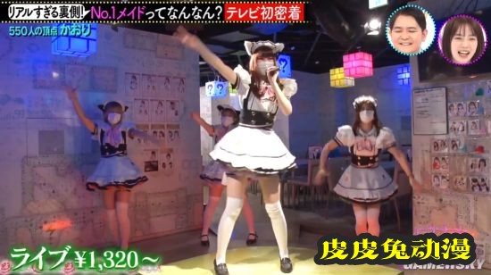 日本第一女仆接受采访 透露女仆店的工作内容