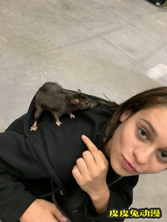 性感程度不亚于小丑女 《X特遣队》二代捕鼠者美照