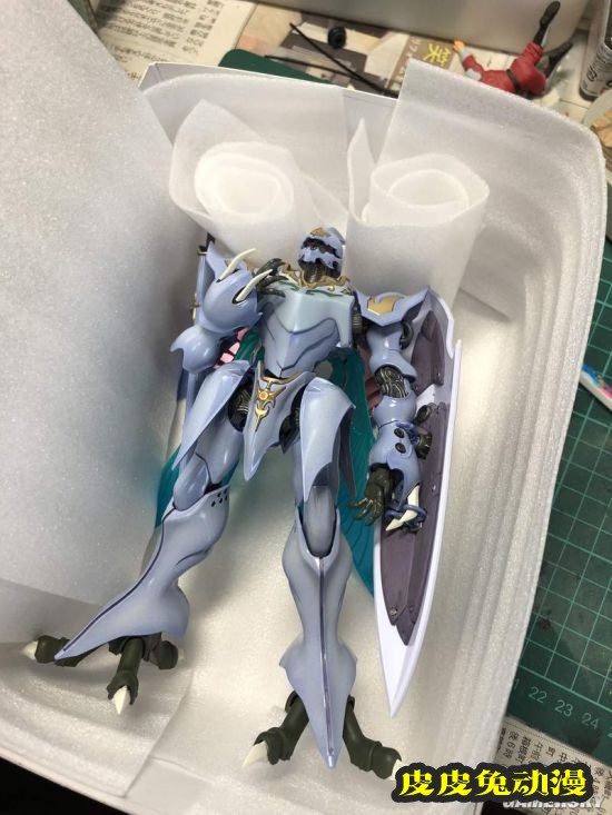 写真女星询问搬运模型的方法 网友反应超热烈