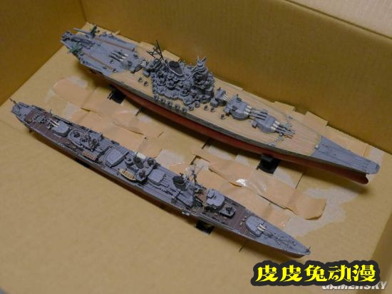 写真女星询问搬运模型的方法 网友反应超热烈