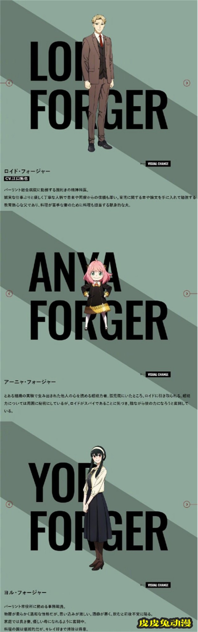 TV动画「间谍过家家」最新人设图公开-皮皮兔动漫