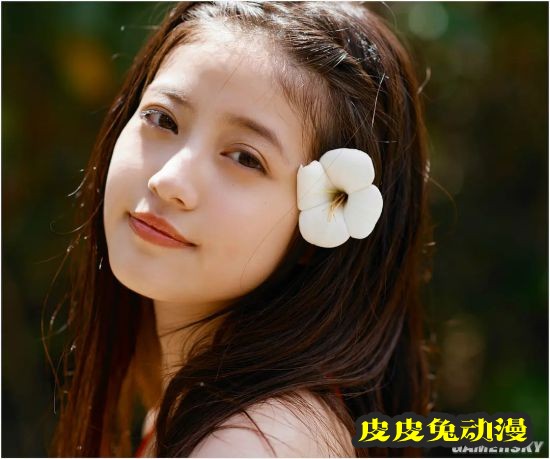 新垣结衣再次回归榜首 日媒女性票选最美女明星TOP10