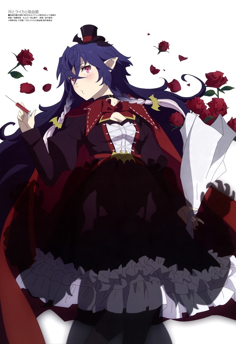 [megami] 2022年1月号图集 动画官方绘