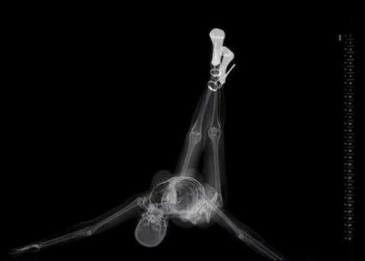 乌克兰正妹晒“露骨”照片走红 另类的福利美照