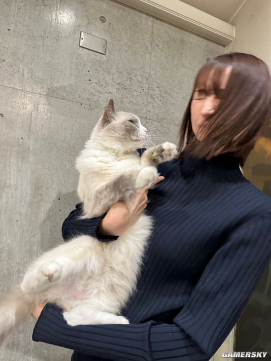 她是懂姿势的 日本9头身美女主播秀极致身材