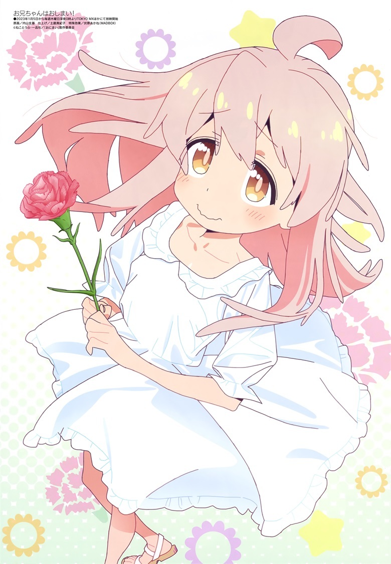 [megami] 2023年2月号图集 动画官方绘