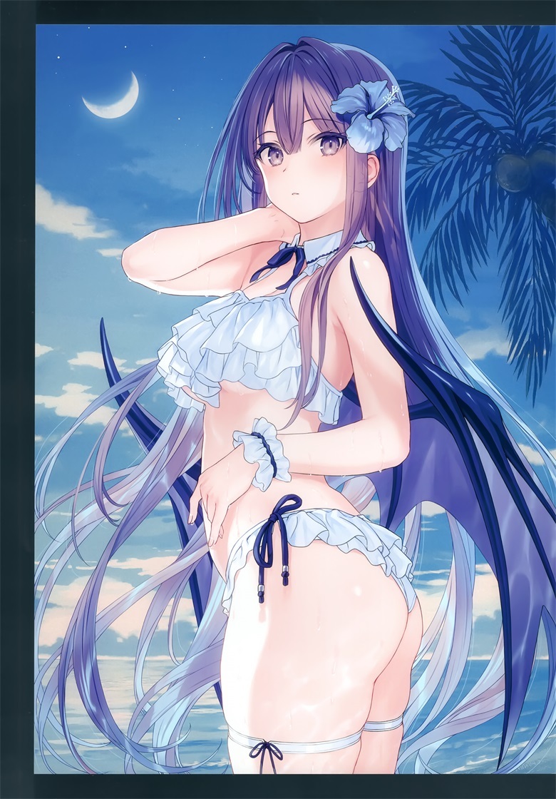 (C100) [CROWN (八城惺架)] 小悪魔さんの本 vol.5 SUMMER DREAM (オリジナル)