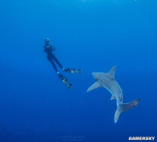 智慧与美貌并存 身材最火辣的女科学家