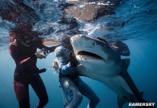 智慧与美貌并存 身材最火辣的女科学家