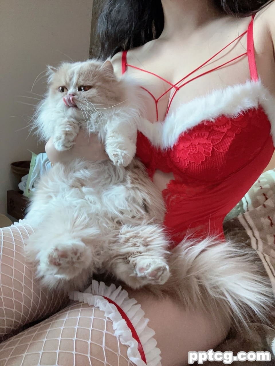 前羽   圣诞礼包