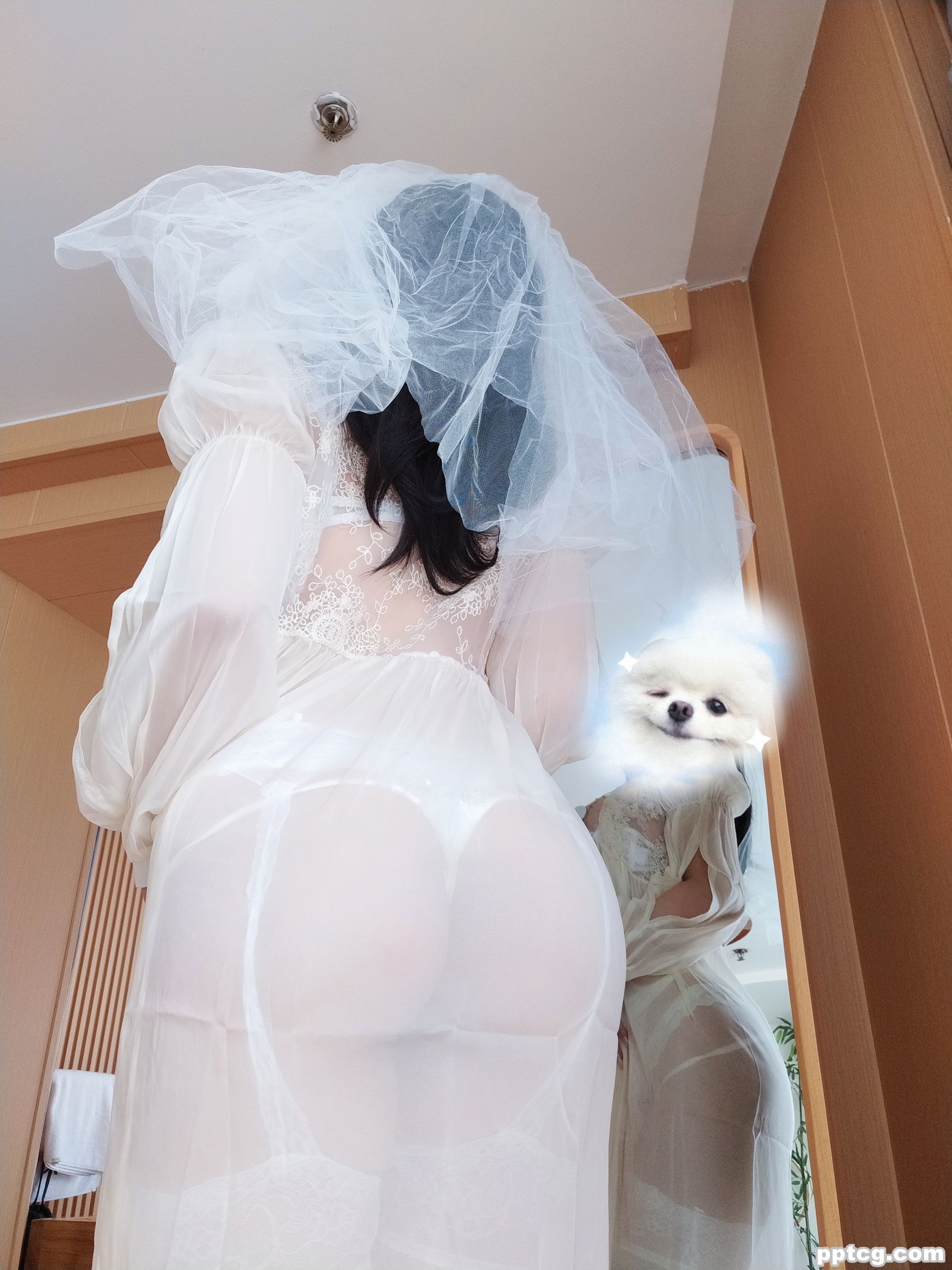 女主K 白双子