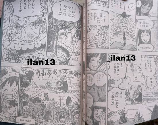 《海贼王》1133话情报：泪崩！罗宾与萨乌罗重逢