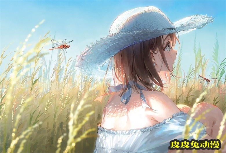(画集) Dear Smile DSマイル画集