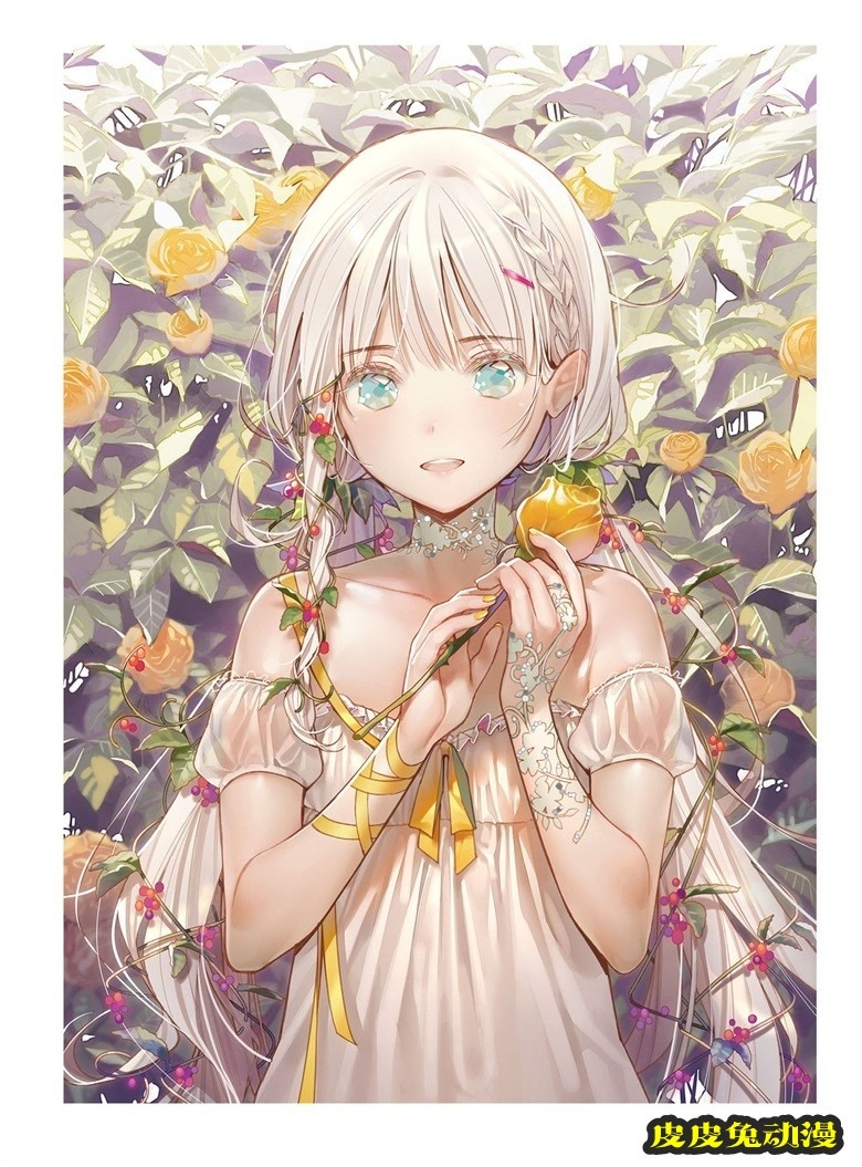 (画集) Dear Smile DSマイル画集