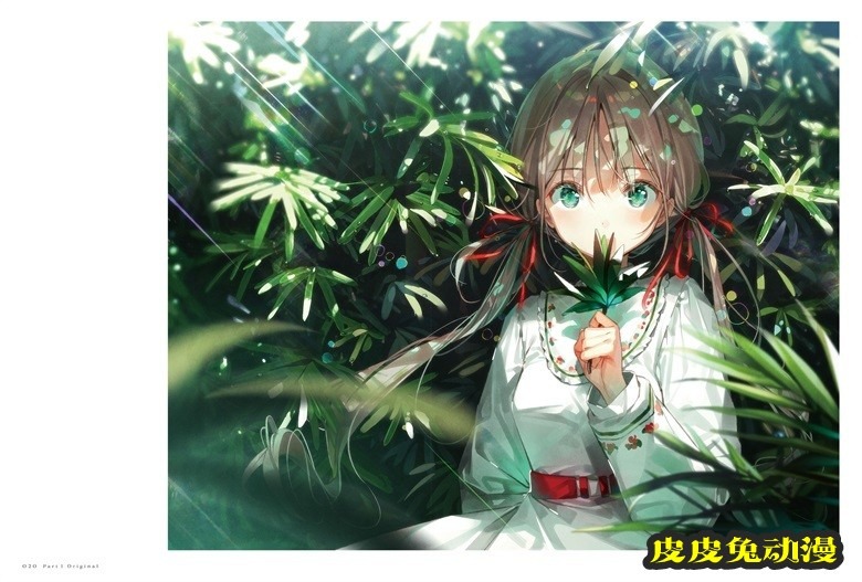 (画集) Dear Smile DSマイル画集
