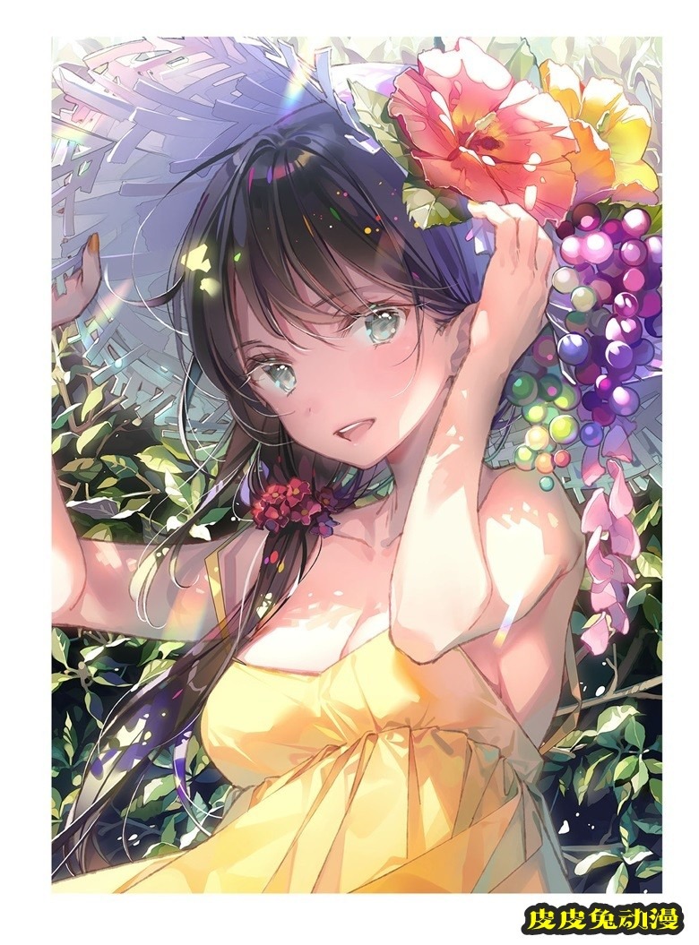 (画集) Dear Smile DSマイル画集