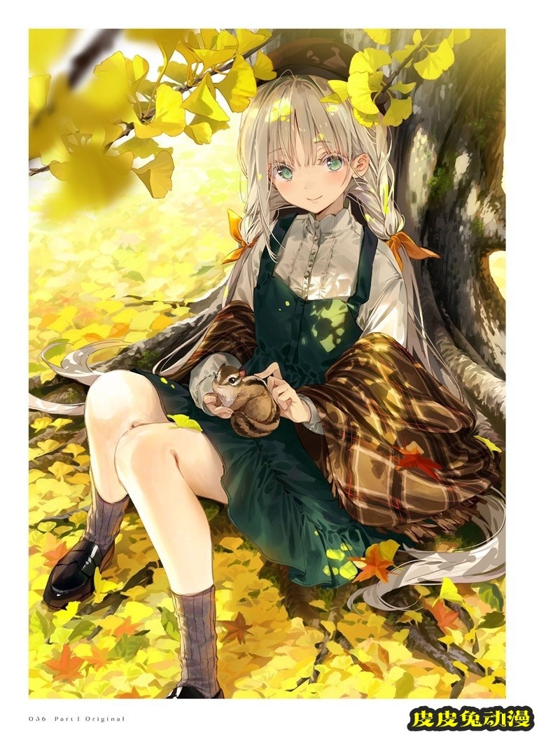 (画集) Dear Smile DSマイル画集
