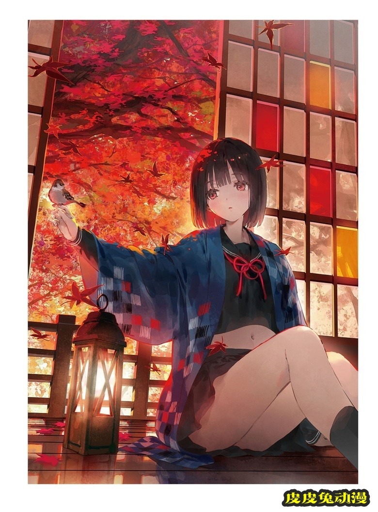 (画集) Dear Smile DSマイル画集