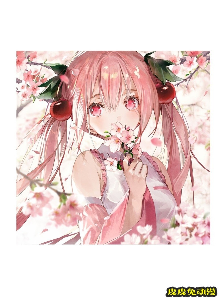 (画集) Dear Smile DSマイル画集