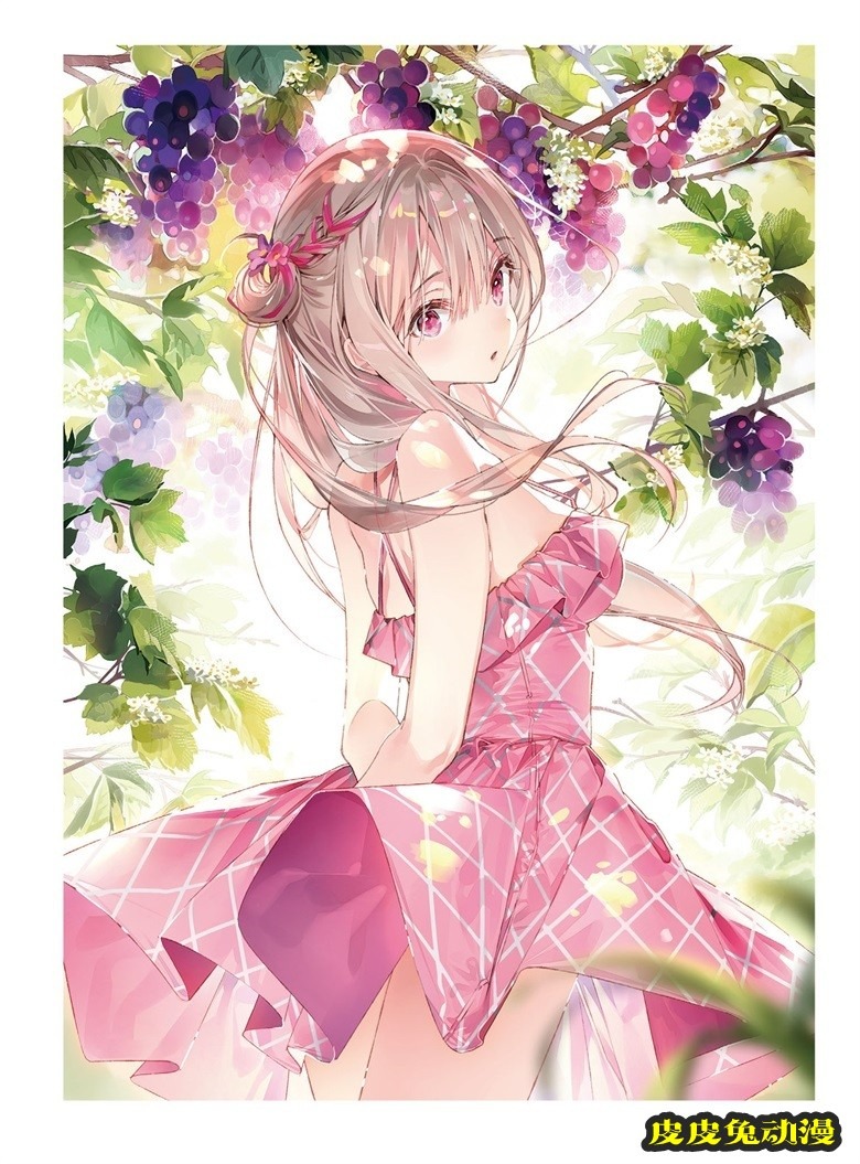 (画集) Dear Smile DSマイル画集