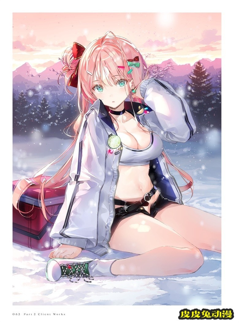 (画集) Dear Smile DSマイル画集