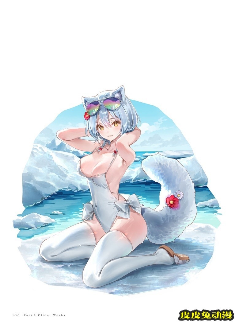 (画集) Dear Smile DSマイル画集