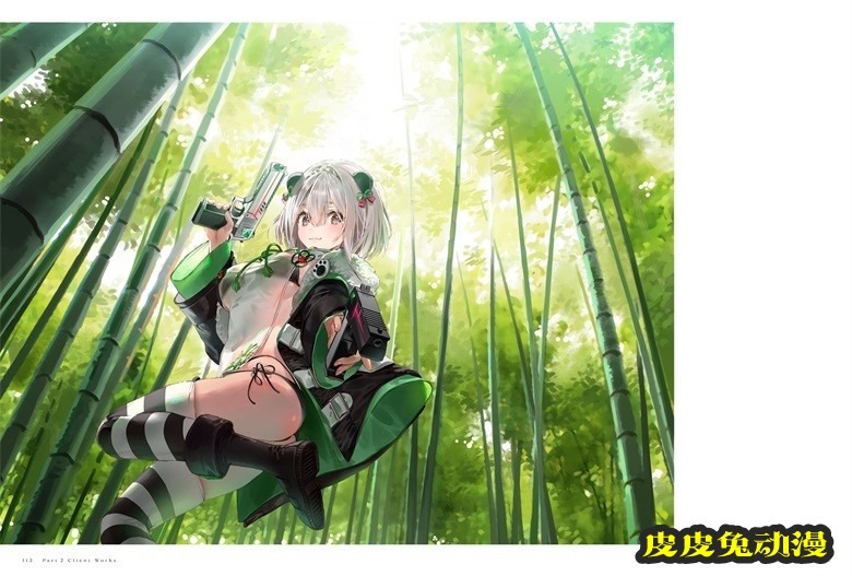(画集) Dear Smile DSマイル画集