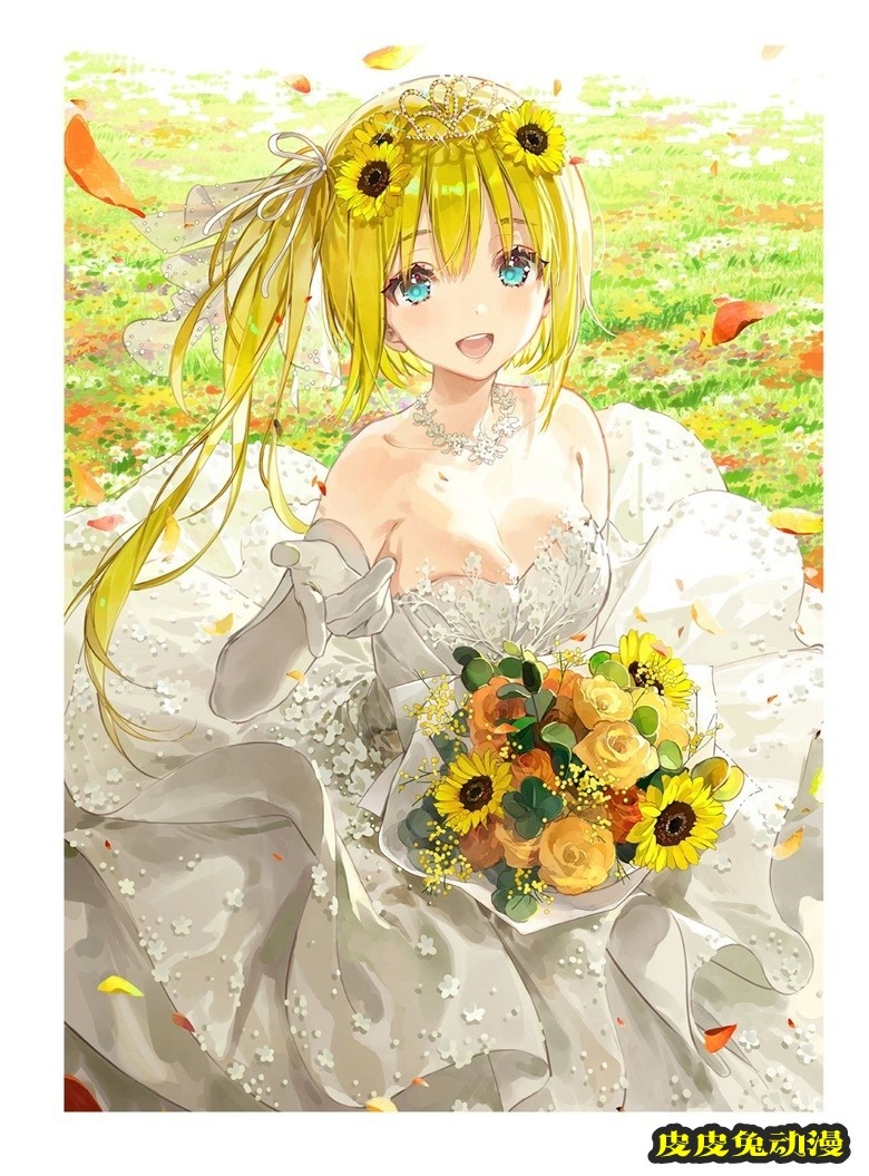 (画集) Dear Smile DSマイル画集