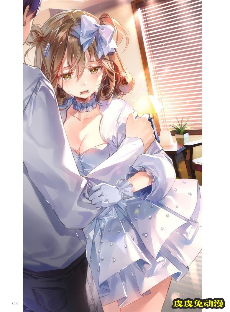 (画集) Dear Smile DSマイル画集