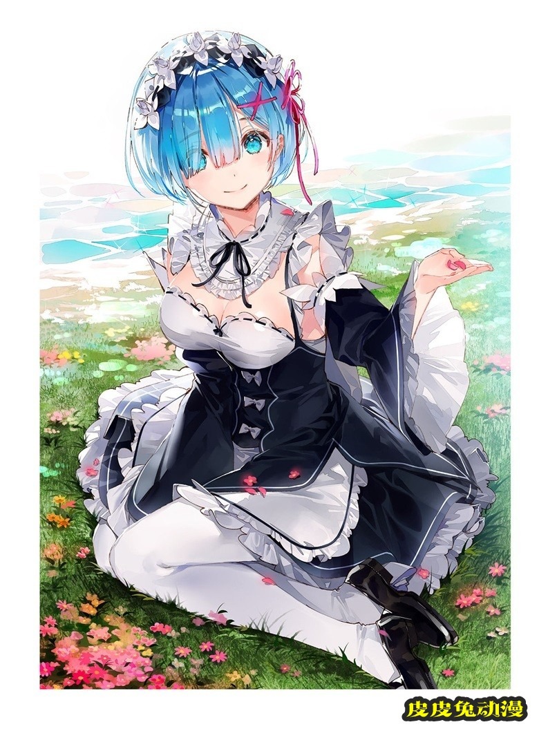 (画集) Dear Smile DSマイル画集
