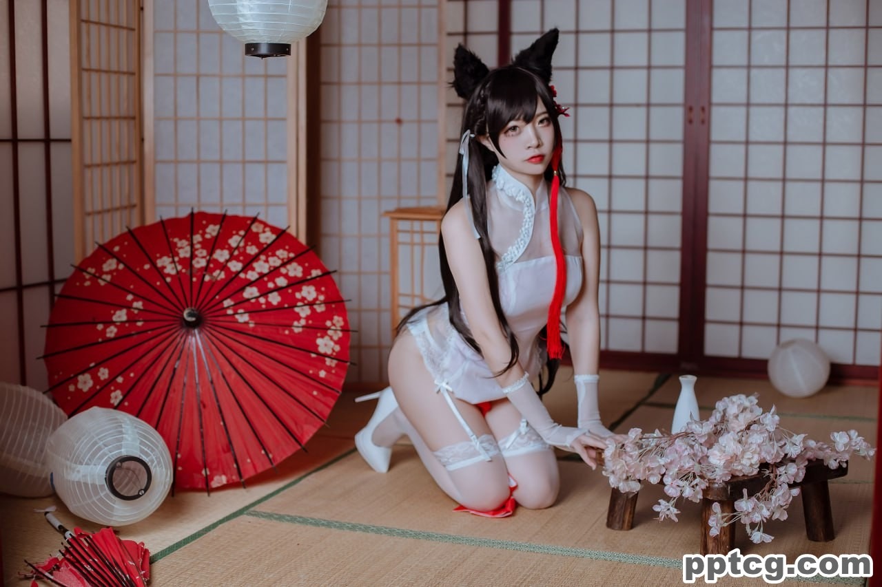 二佐  犬之眷  碧蓝航线  爱宕  旗袍