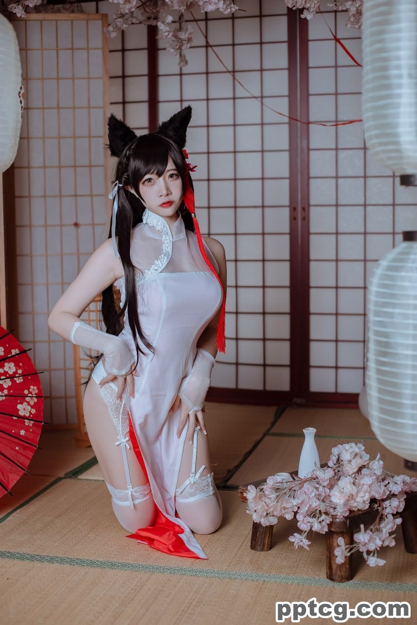 二佐  犬之眷  碧蓝航线  爱宕  旗袍