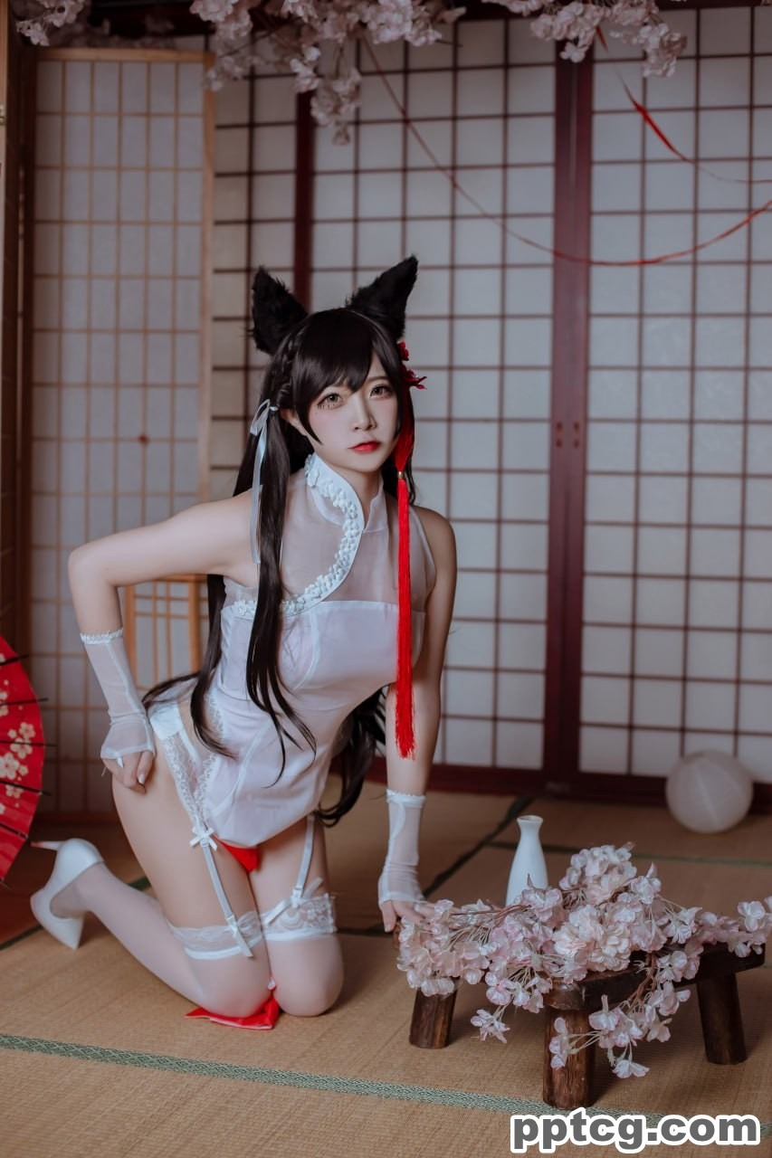 二佐  犬之眷  碧蓝航线  爱宕  旗袍