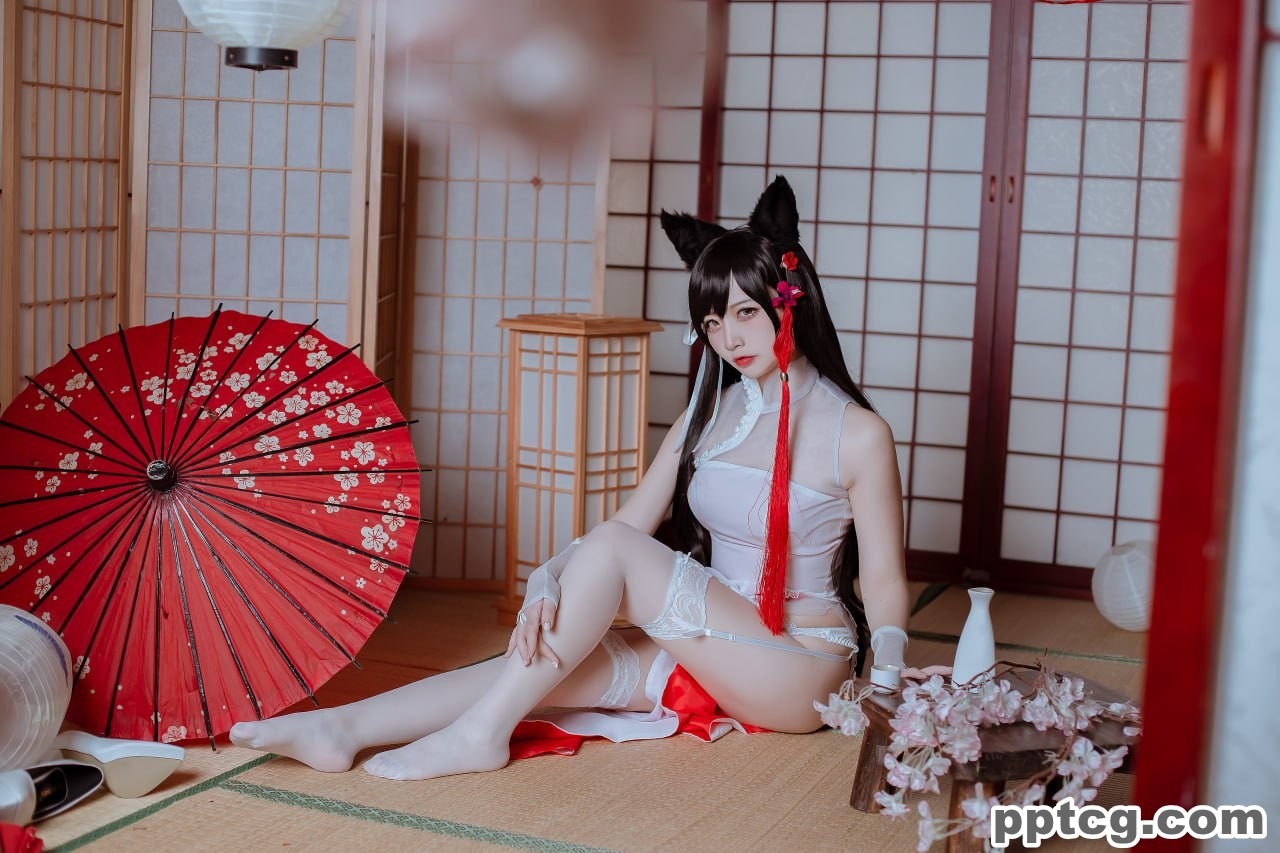 二佐  犬之眷  碧蓝航线  爱宕  旗袍