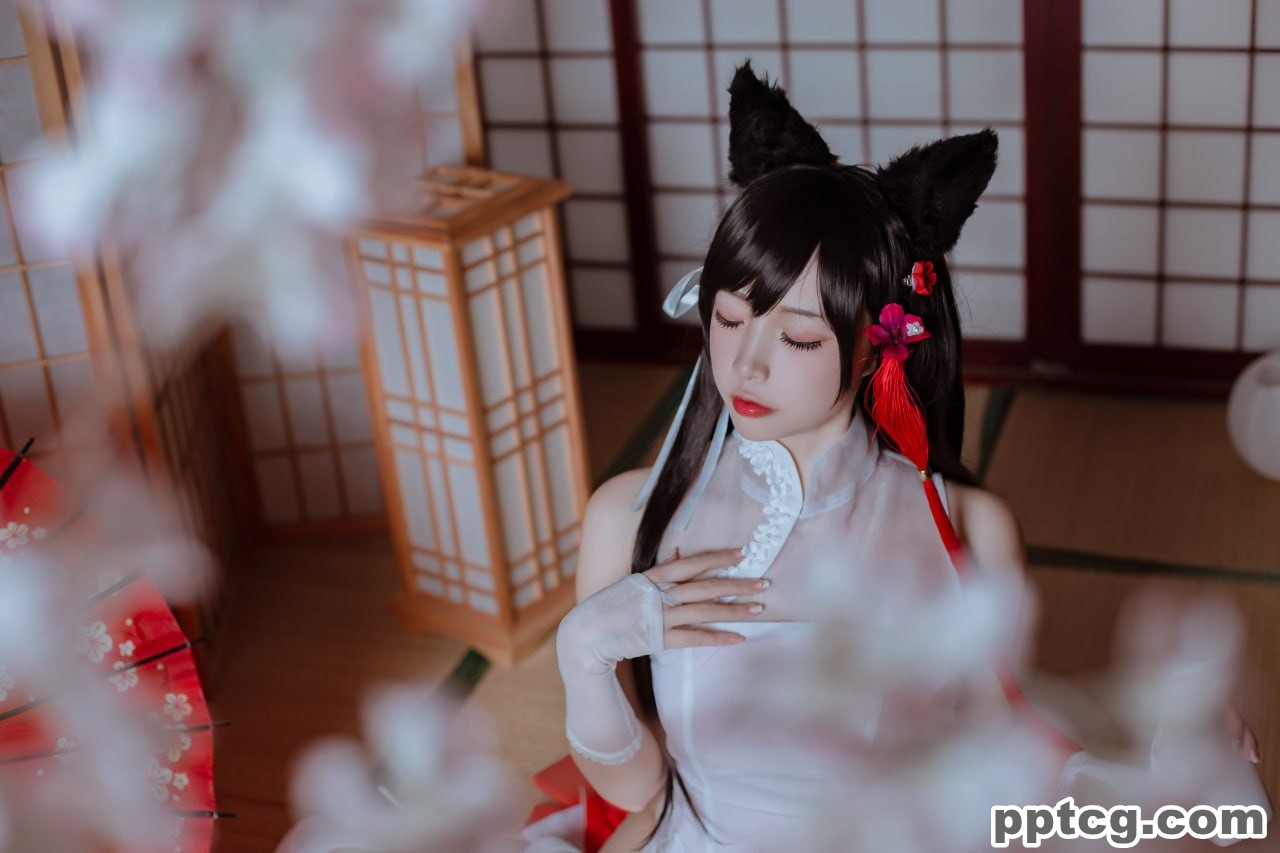 二佐  犬之眷  碧蓝航线  爱宕  旗袍