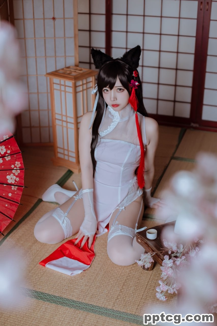 二佐  犬之眷  碧蓝航线  爱宕  旗袍