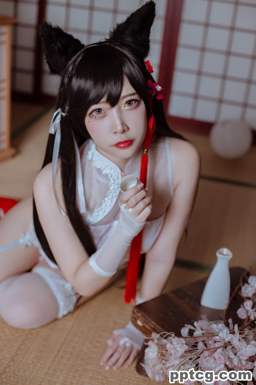 二佐  犬之眷  碧蓝航线  爱宕  旗袍