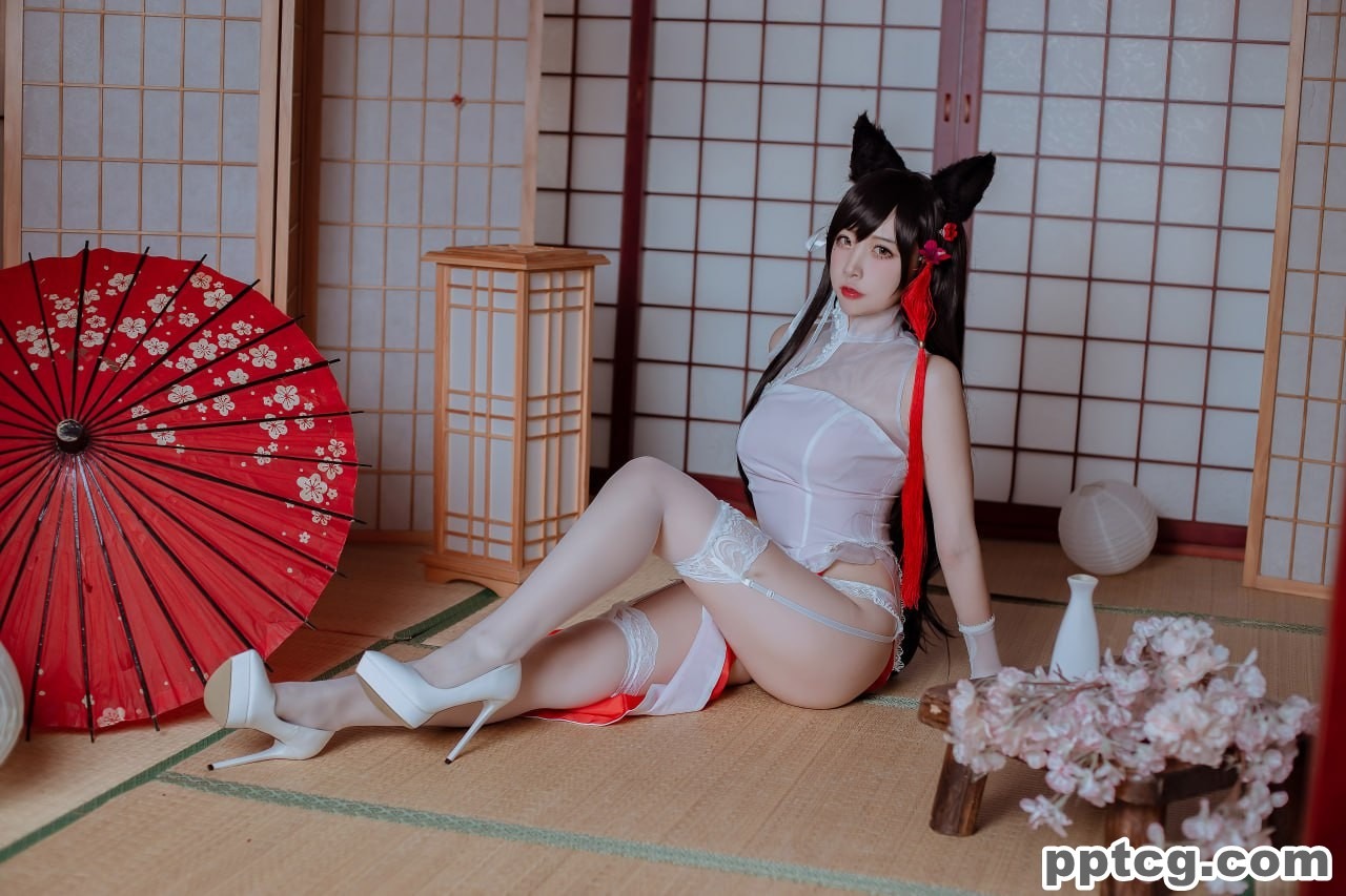 二佐  犬之眷  碧蓝航线  爱宕  旗袍