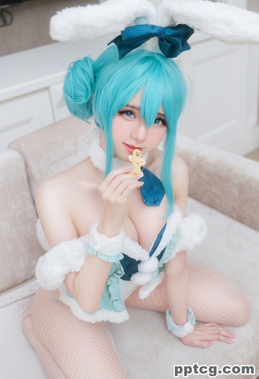 Sally Dorasnow 雪未来  Miku bunnygirl