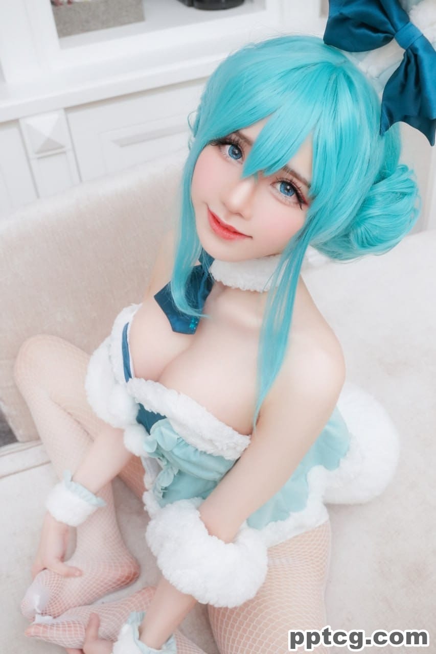 Sally Dorasnow 雪未来  Miku bunnygirl