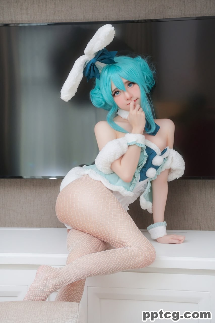 Sally Dorasnow 雪未来  Miku bunnygirl