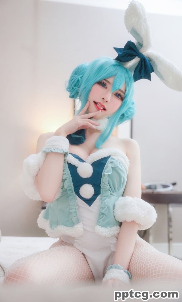 Sally Dorasnow 雪未来  Miku bunnygirl