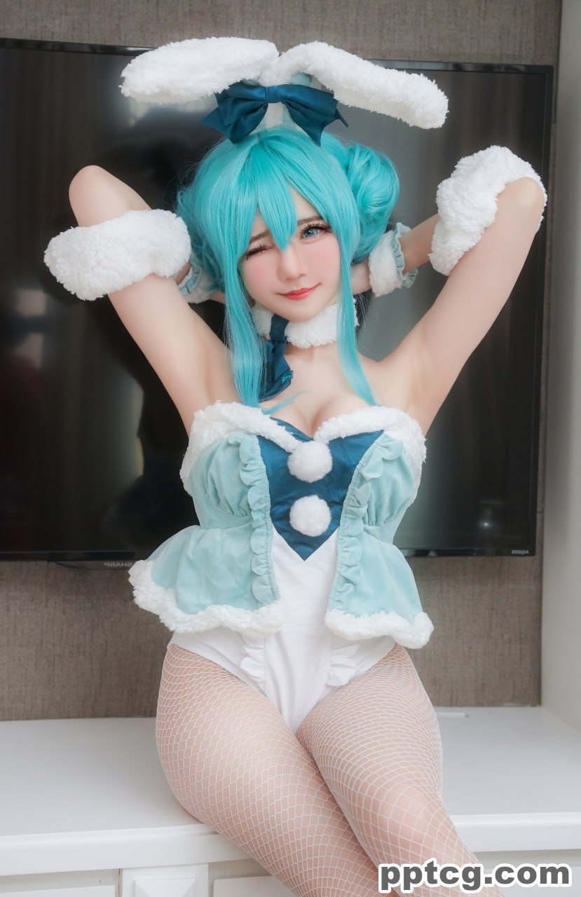 Sally Dorasnow 雪未来  Miku bunnygirl