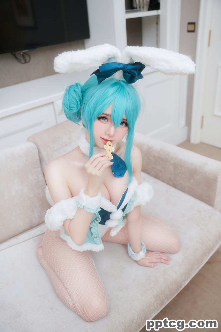 Sally Dorasnow 雪未来  Miku bunnygirl