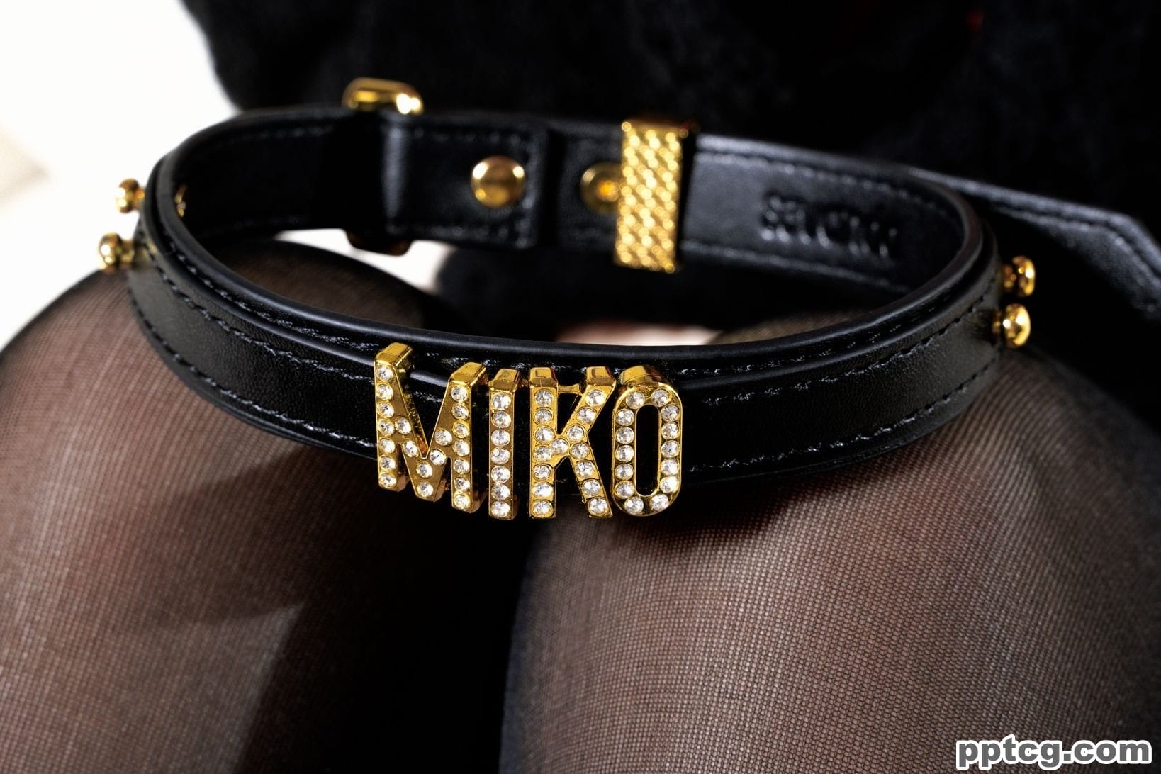 miko酱ww 礼物猫猫