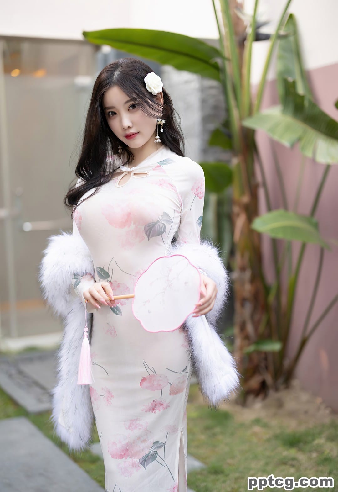 杨晨晨-写真图集资源合集