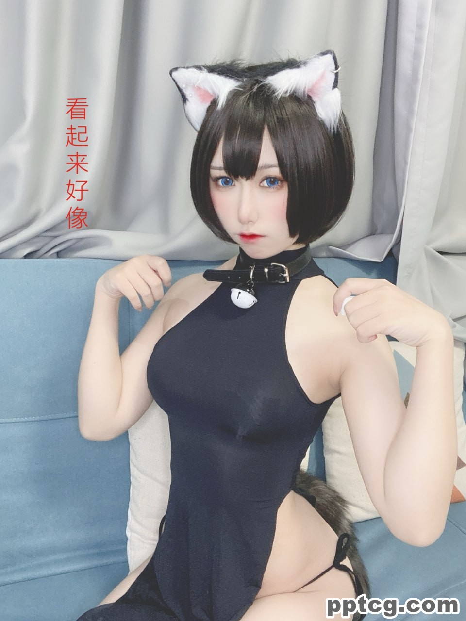 芋圆侑子  艹猫  兽耳