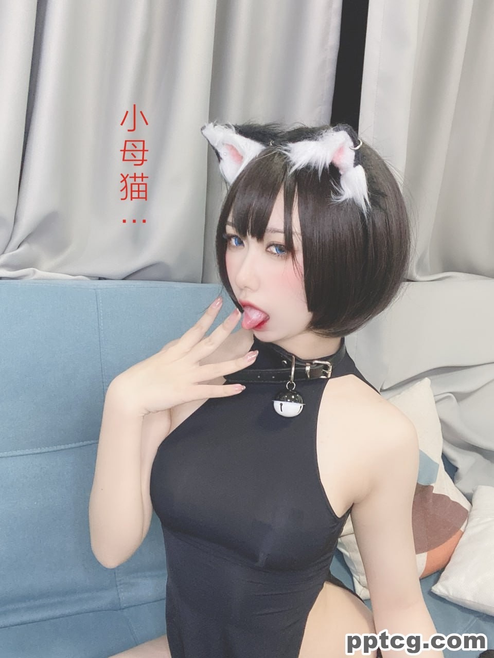 芋圆侑子  艹猫  兽耳